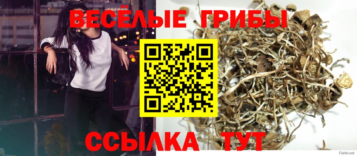Галлюциногенные грибы мухоморы Прохладный