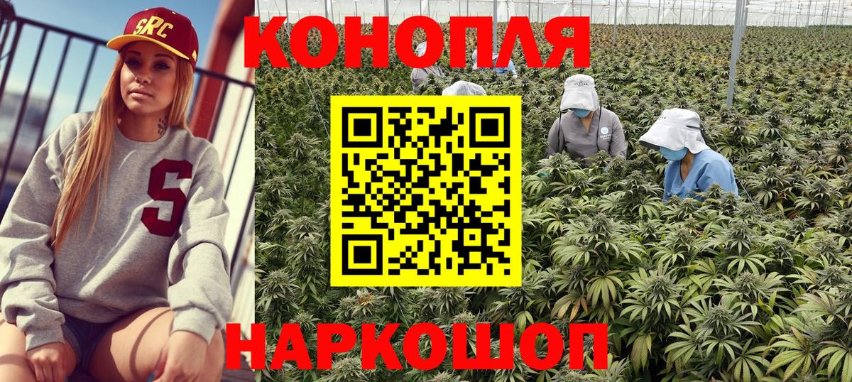 Бошки Шишки Amnesia Прохладный